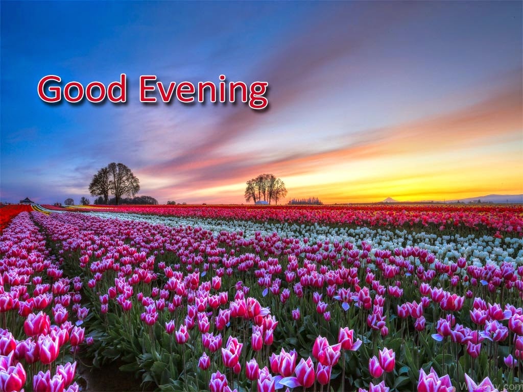 Good Evening Wishes Wishes Greetings Pictures Wish Guy