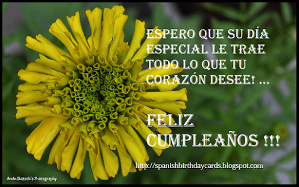 Birthday Wishes In Spanish Wishes Greetings Pictures Wish Guy