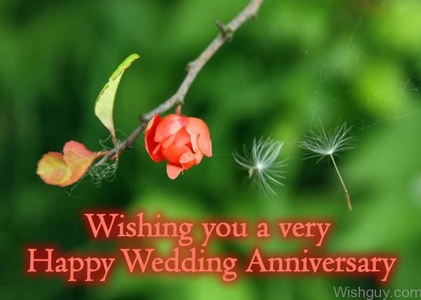 Wishing You A Very Happy Wedding Anniversary
