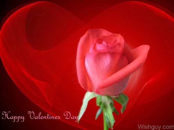 Best Wishes For Valentine's Day