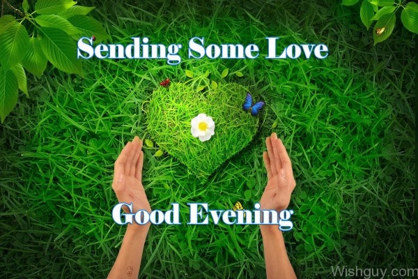 Sending Some Love Good Evening