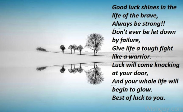 Good Luck Shines