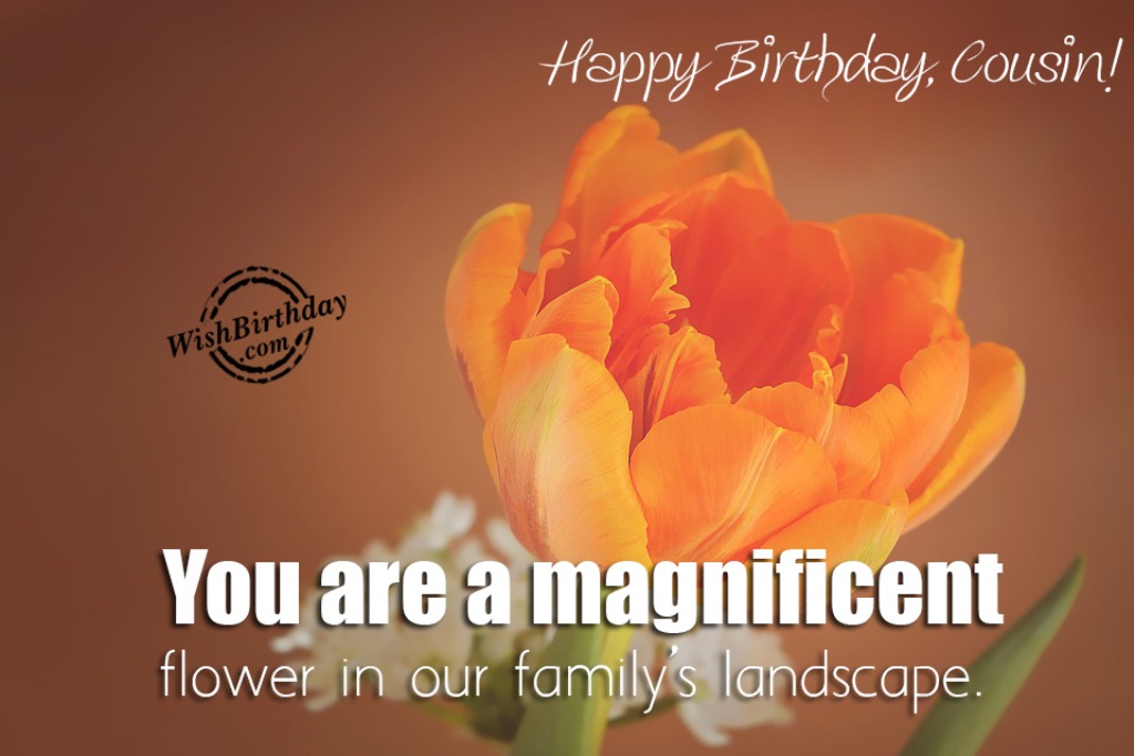You Are A Magnificent Flower – Happy Birthday Cousin - Wishes ...